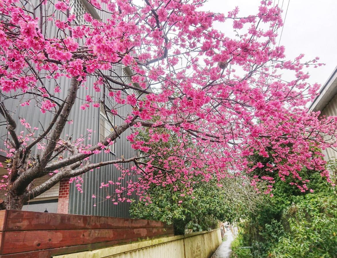 Xinshe Xiao Shu Time Homestay Екстериор снимка