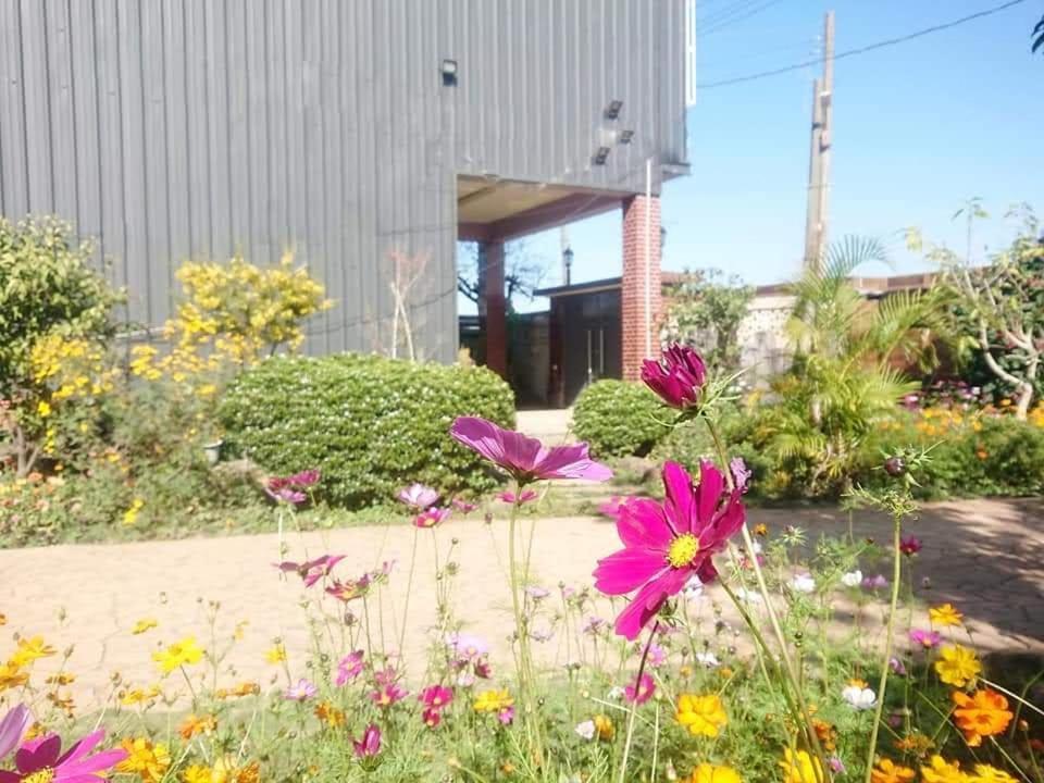 Xinshe Xiao Shu Time Homestay Екстериор снимка