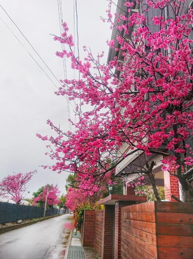 Xinshe Xiao Shu Time Homestay Екстериор снимка